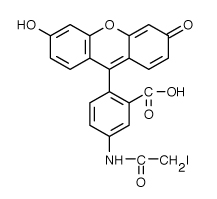 5-�����������ɹ���